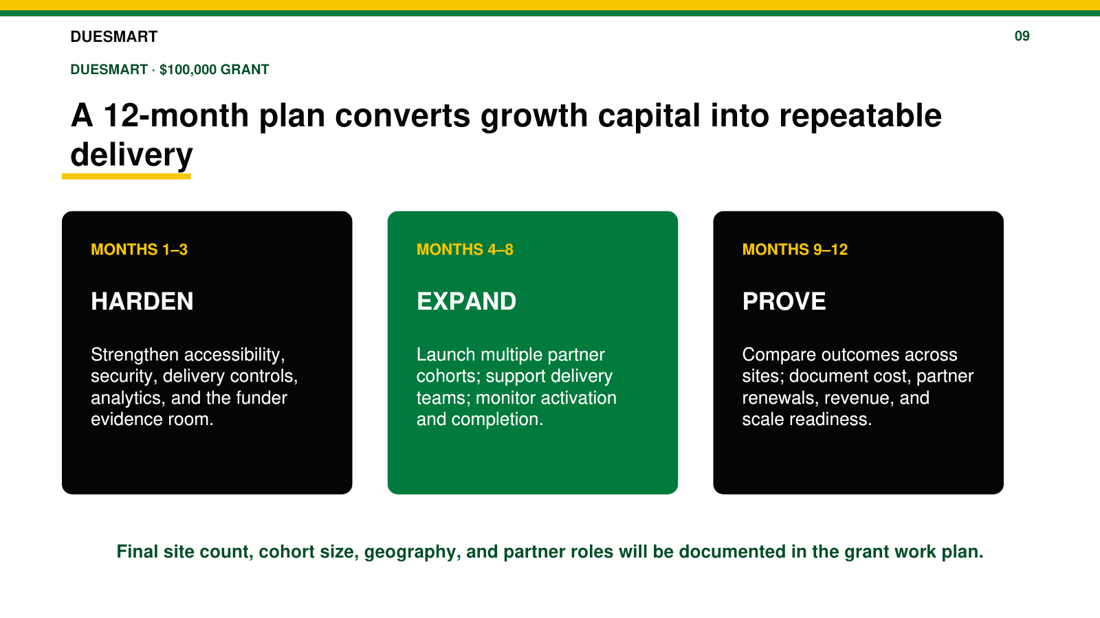Slide 9: The 12-month growth plan